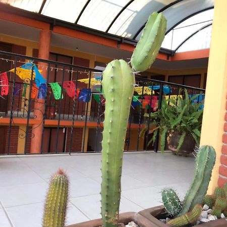 Hotel La Cascada Oaxaca Kültér fotó